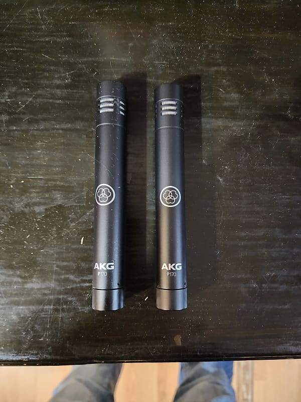 AKG P170 Small Diaphragm Cardioid Condenser Microphone 2010s Reverb