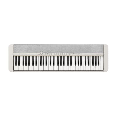 CASIO カシオ 電子キーボード カシオトーン CT-S1 61鍵盤