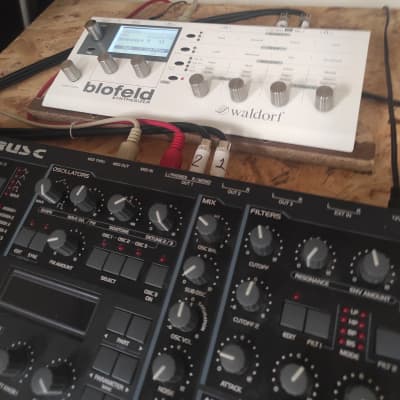 Waldorf Blofeld Desktop Synthesizer