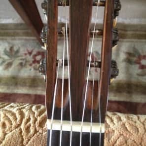 Martin 00-21 1901 - Stunning Brazilian Rosewood (Steel Fitted) image 5