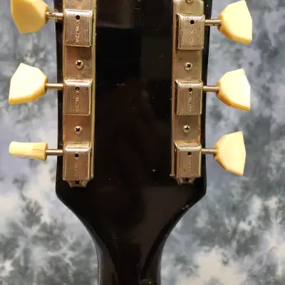 Video Demo 1958 National Dynamic  Archtop Electric Natural Carved Maple Valco Pickup Hard Shell Case image 8