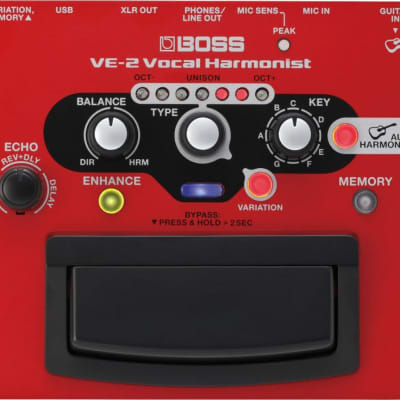Boss JS-10 eBand Audio Player / Recorder with Guitar Effects