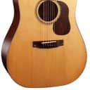 Cort Gold Series Dreadnaught D6, Solid Sitka Spruce Top, Solid Mahogany B&S, B-Stock