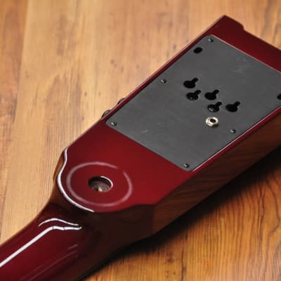 NS Design WAV5c Double Bass Trans Red image 15