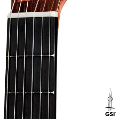 Wolfgang Jellinghaus Torres 43 2022 Classical Guitar Spruce/Indian Rosewood imagen 10