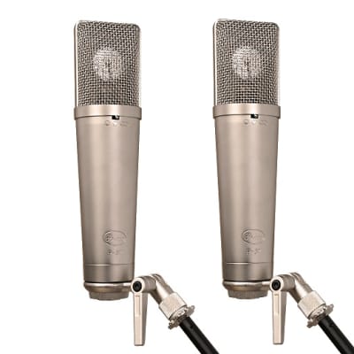 Peluso Microphones P-87 | Reverb