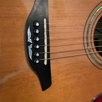 Furch 6 String Acoustic 2013 Left Handed image 3