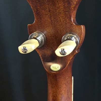 2020 Gold Star GF-100JD JD Crowe Bluegrass Album Banjo w/ Case image 9