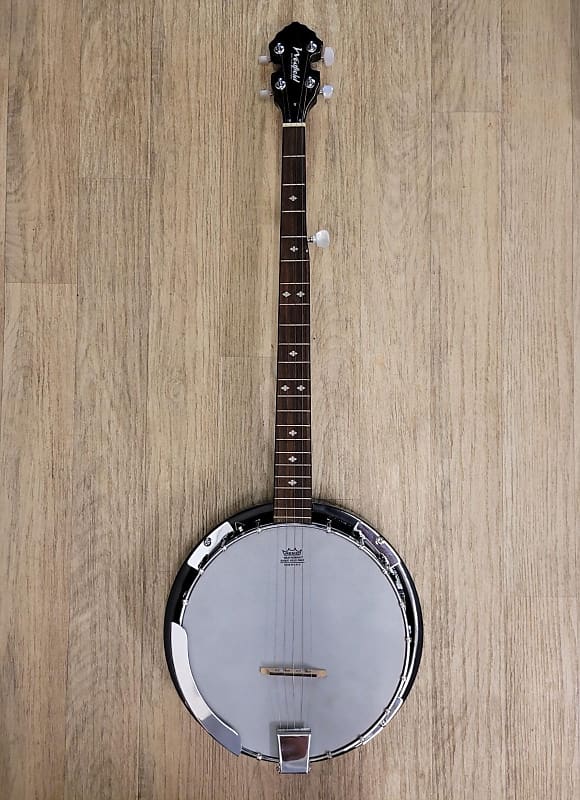 Westfield 5 store string banjo