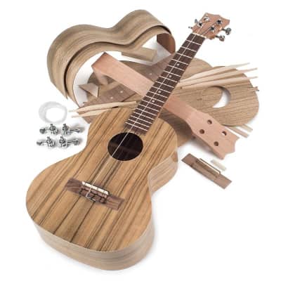 StewMac Premium Body-Built Acoustic Guitar Kit - StewMac