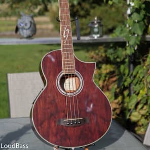 Ibanez ewb20 on sale