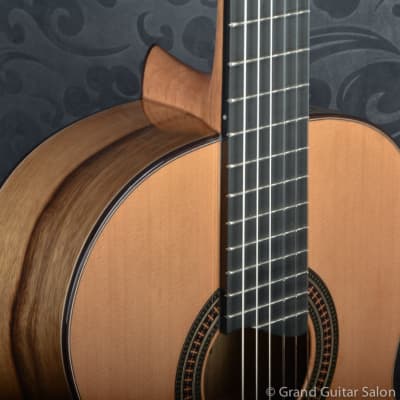 Raimundo Tatyana Ryzhkova Signature model, Cedar top  classical guitar image 17