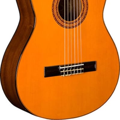 Washburn Classical Series C5 Classical Acoustic Guitar, Natural, New, image 1
