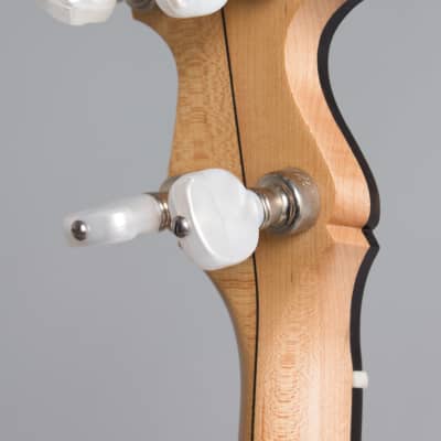 Bart Reiter  Special 5 String Banjo (2017), ser. #4430, black tolex hard shell case. image 13
