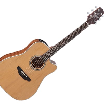 Takamine GD20CE G Series Cutaway A/E Guitar - Natural Satin image 1