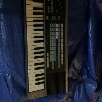 Casio SK-200 49-Key Sampling Keyboard 1980s - Black