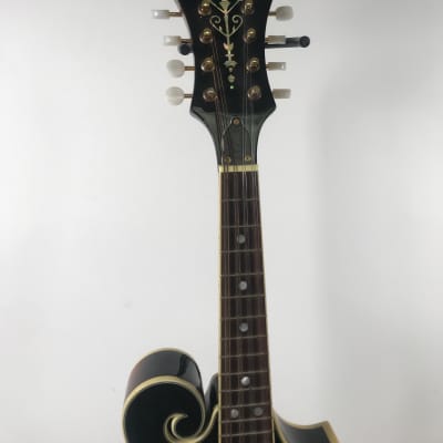 フラットマンドリンBeanBlossom By Morgan Monroe Bean Blossom Morgan Monroe Mandolin | Reverb