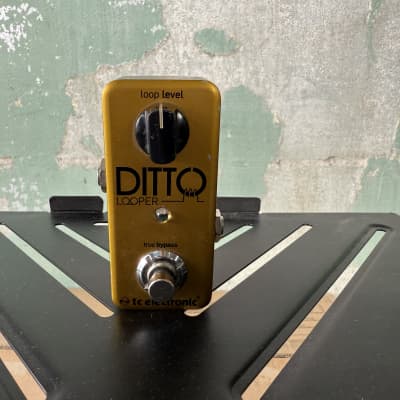 TC Electronic Ditto Looper Limited Edition | Reverb