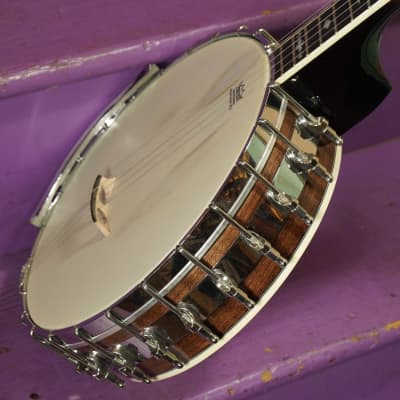 2022 Gold Tone OT-800LN Longneck 5-String Banjo (VIDEO! Fresh Setup, Ready) image 17