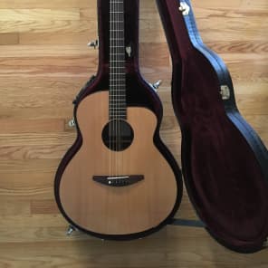 新しく着き Baden a-style Rosewood Handmade Acoustic Electric Guitar ギター