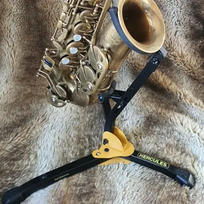 TJ Signature Custom Raw XS Alto Saxophone image 2
