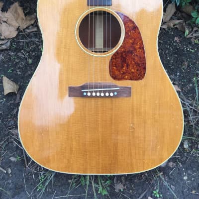 Gibson J50 Acoustic 1952 - Natural image 2