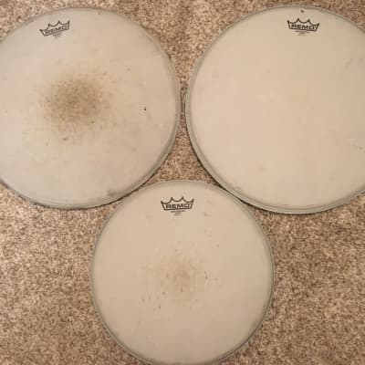 3 Remo Ambassador and Emperor coated drum heads 2-16”s 1-13” image 1