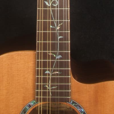 Bruce Wei Solid Indian Rosewood 8 String Tenor Guitar, MOP Vine Inlay TG-2045 image 8