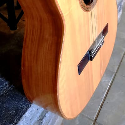GIANNINI GN-60 CLASSICAL-FOLK 1960’s-NATURAL WOODS, NEEDS TLC AND EXPERT LUTHIER'S HANDS image 15