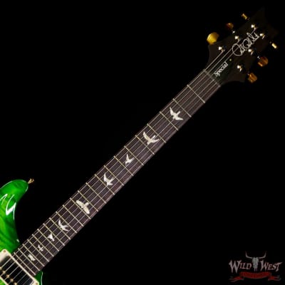 Paul Reed Smith PRS Core Series 10 Top Special Semi-Hollow (Special 22) Eriza Verde Wrap Burst image 4
