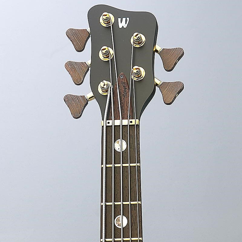 Warwick Custom Shop Streamer Stage II 5st (Nirvana Black 