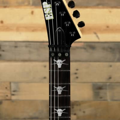 ESP George Lynch Signature Skulls & Snakes Electric Guitar w/ Case image 6