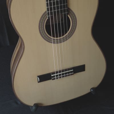 2018 Hippner Rosewood and Spruce - Torres / Esteso Classical Guitar image 2
