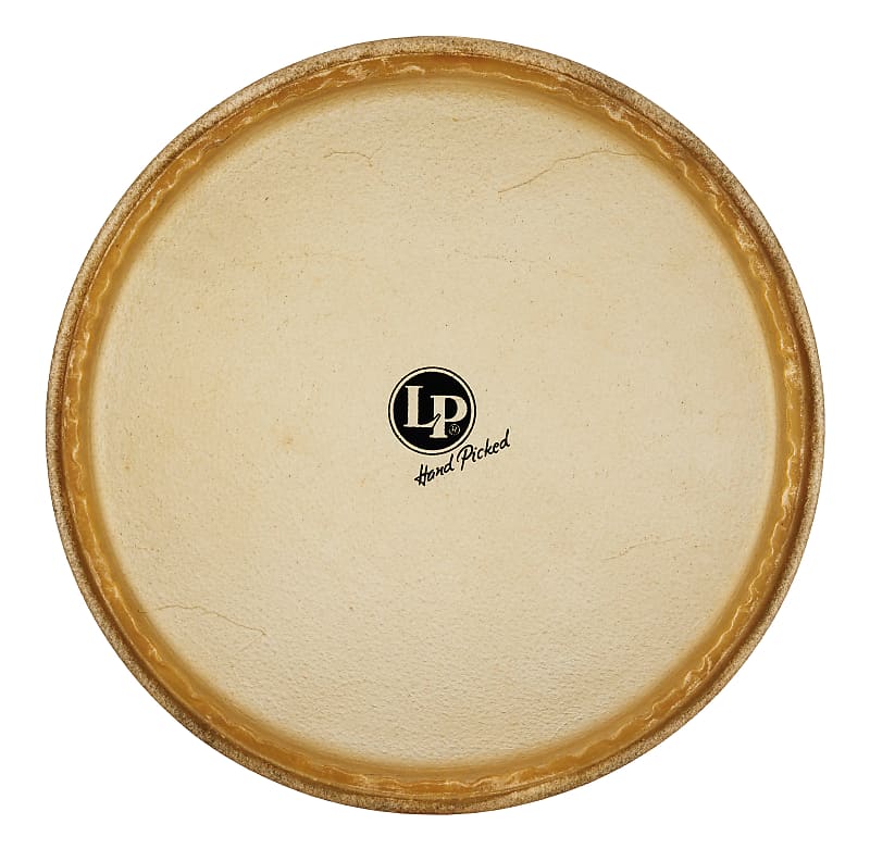 Latin Percussion Fiberskyn Conga Head - 11-3/4 Inch - Conga