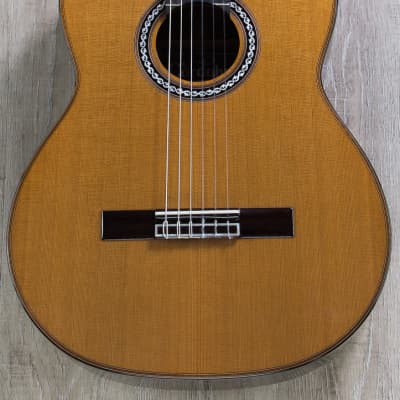 Cordoba C10 CD/IN Acoustic Nylon String Classical Guitar image 3