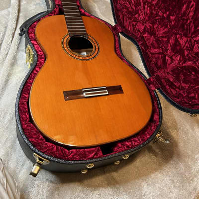 Asturias AST-80 mid-1970s - natural for sale