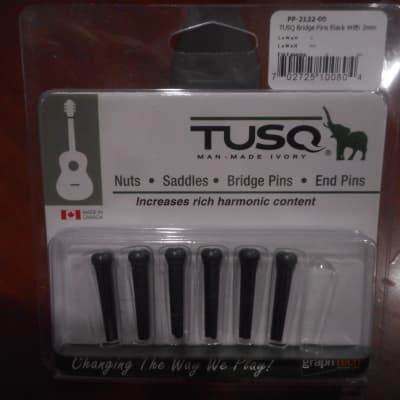 Graph Tech PP-2122-00 TUSQ Traditional-Style Acoustic Guitar Bridge Pins - 6-String image 1