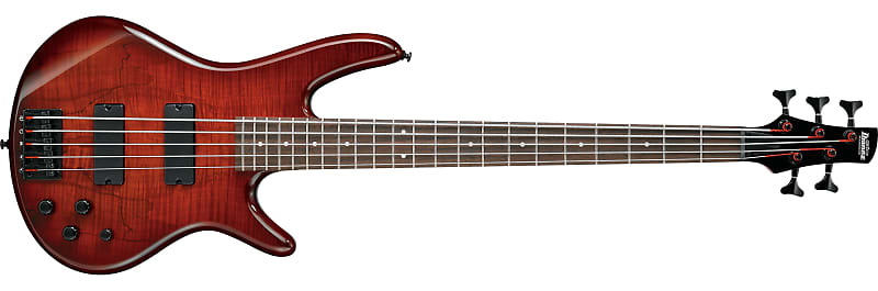 Ibanez GSR205SMCNB Gio GSR 5-string Electric Bass, Spalted Maple Charcoal Brown Burst RW image 1