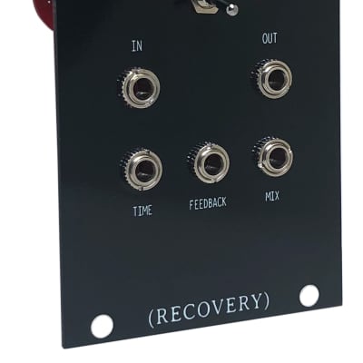 Recovery Effects and Devices Dirty Murals Delay Reverb Echo Eurorack Module image 2