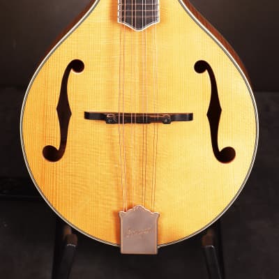 Bourgeois M5-A Aged A-style mandolin Brand New image 2
