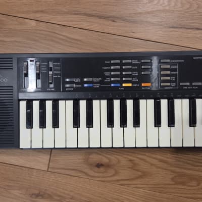 Concertmate 500 (Casio SK-1)