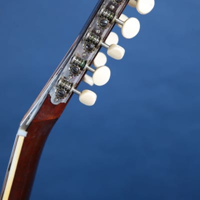 Harmony H1270 Sovereign / 1970 / Stunning! image 17