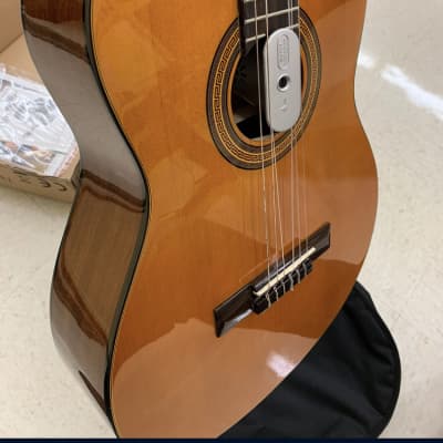 Epiphone PRO-1 Classic Nylon String Guitar for sale