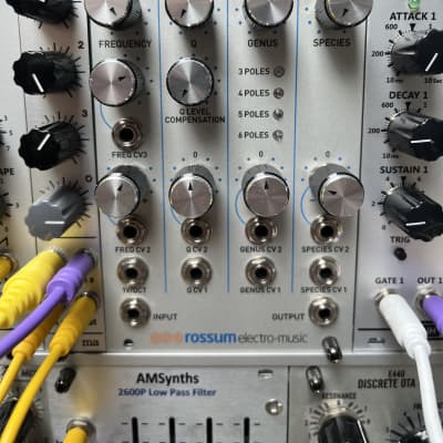 Rossum Electro-Music Evolution - Eurorack Module on ModularGrid