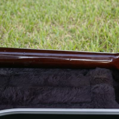 Trump Dreadnought with Vintage Case image 16