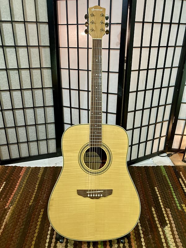 Sam Ash Brownsville Acoustic Guitar BMAG3 Reverb