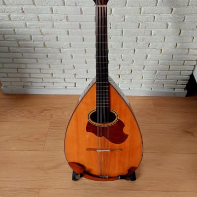 SUZUKI MANDOCELLO スズキ マンドチェロ MC-836 Suzuki MC836 Mandocello: Good Match For Your Music Taste?