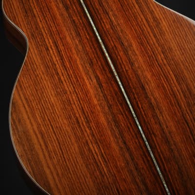 Ryan Cathedral Grand Fingerstyle - Sitka Spruce & Indian Rosewood 2003 *VIDEO* image 11