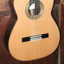 Cordoba Solista CD Nylon String All Solid Cedar/Rosewood Classical Guitar w/Case