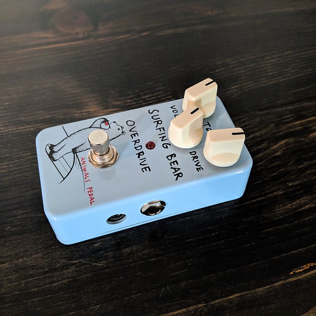 Animals Pedal Surfing Bear Overdrive